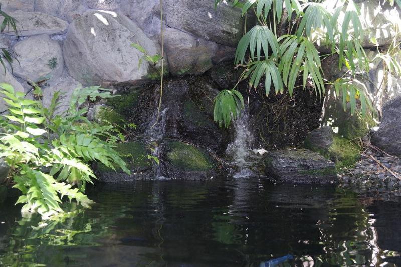 Heron House (Adults Only) Кі-Вест Екстер'єр фото